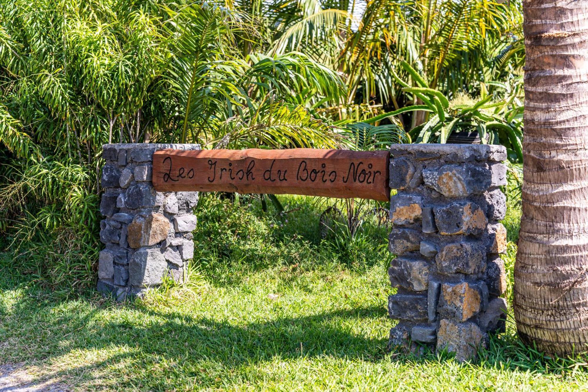 Villa Et Grand Jacuzzi Six Personnes, En Pleine Nature Saint-Joseph Buitenkant foto
